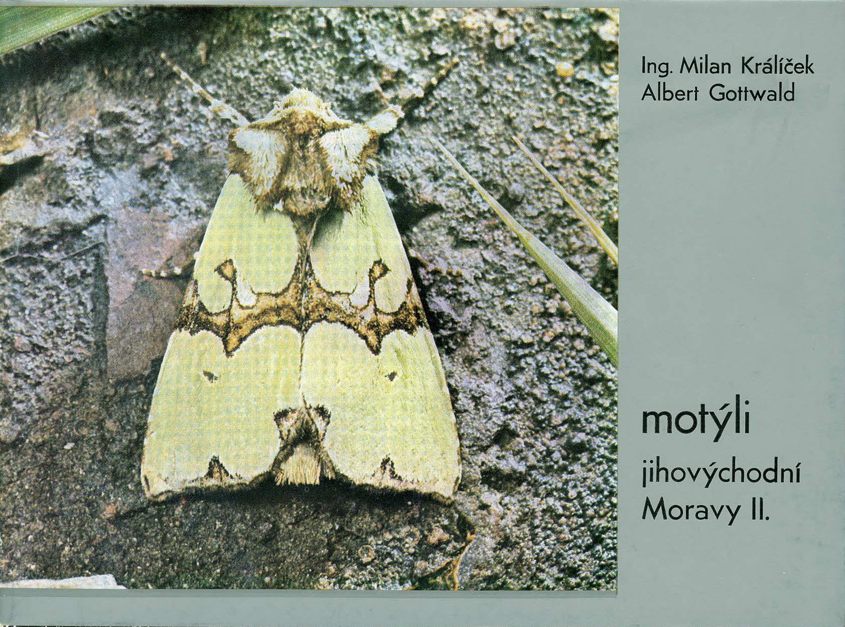 Motýli jihovýchovní Moravy II. 