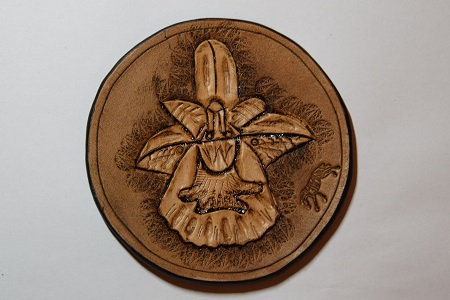 Pivní kožený podtácek - tořič čmelákovitý