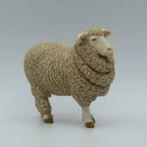 Merino ovce